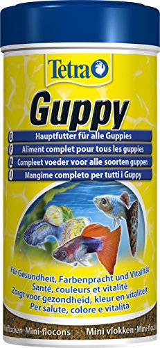 Tetra Guppy (Hauptfutter für Guppys und andere lebendgebärende Zahnkarpfen, Miniflocken mit Farberstärkern), 250 ml Dose