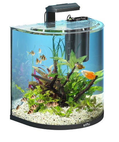 Tetra AquaArt Explorer Line Aquarium Komplett-Set 60 Liter anthrazit (gewölbte Frontscheibe, langlebige LED-Beleuchtung, ideal für die Haltung von tropischen Zierfischen)